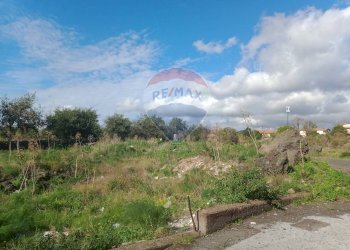Giardino - Agricultural land Via Mariani
 
81, Catania - photo 20