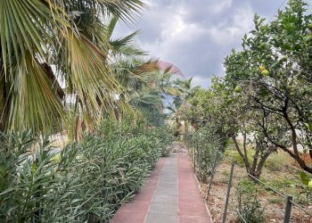 Giardino - Locale Commerciale VIA PONTE BORIA
 
2, Calatabiano - foto 9