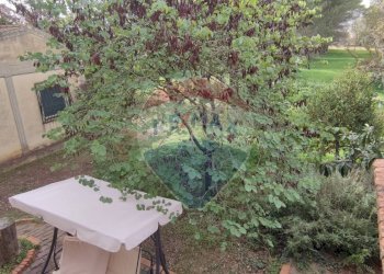 Giardino - Villa VIA OTTAVIA PENNA
32, Caltagirone - foto 15