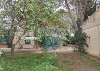 Giardino - Villa VIA OTTAVIA PENNA
32, Caltagirone - foto 37