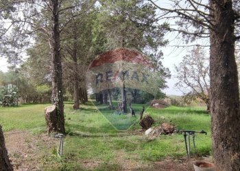 Giardino - Villa VIA OTTAVIA PENNA
32, Caltagirone - foto 38