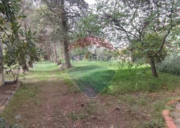 Giardino - Villa VIA OTTAVIA PENNA
32, Caltagirone - foto 41