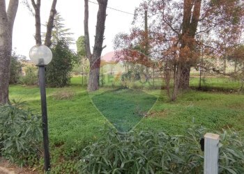 Giardino - Villa VIA OTTAVIA PENNA
32, Caltagirone - foto 44