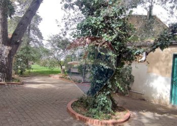 Giardino - Villa VIA OTTAVIA PENNA
32, Caltagirone - foto 46