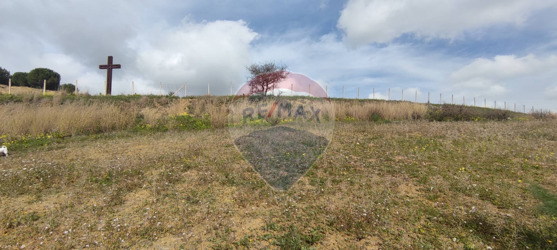 Giardino - Agricultural land CONTRADA SAN MARCO
SN, Caltagirone - photo 3