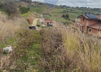 Vista delle montagne - Terreno agricolo CONTRADA SAN MARCO
 
SN, Caltagirone - foto 14