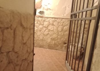 Scale - Non-buildable land Via pozzo mulino
 
15, Catania - photo 4