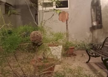 Giardino - Non-buildable land Via pozzo mulino
 
15, Catania - photo 15