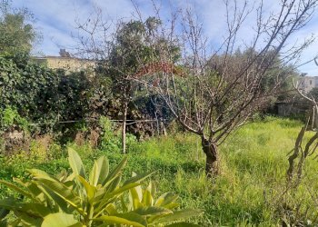 Giardino - Villa via Ribera
 
26, Acireale - foto 6