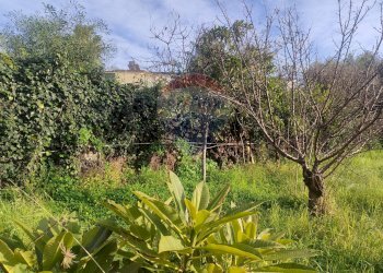 Giardino - Villa via Ribera
 
26, Acireale - foto 31