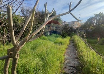 Giardino - Villa via Ribera
 
26, Acireale - foto 32