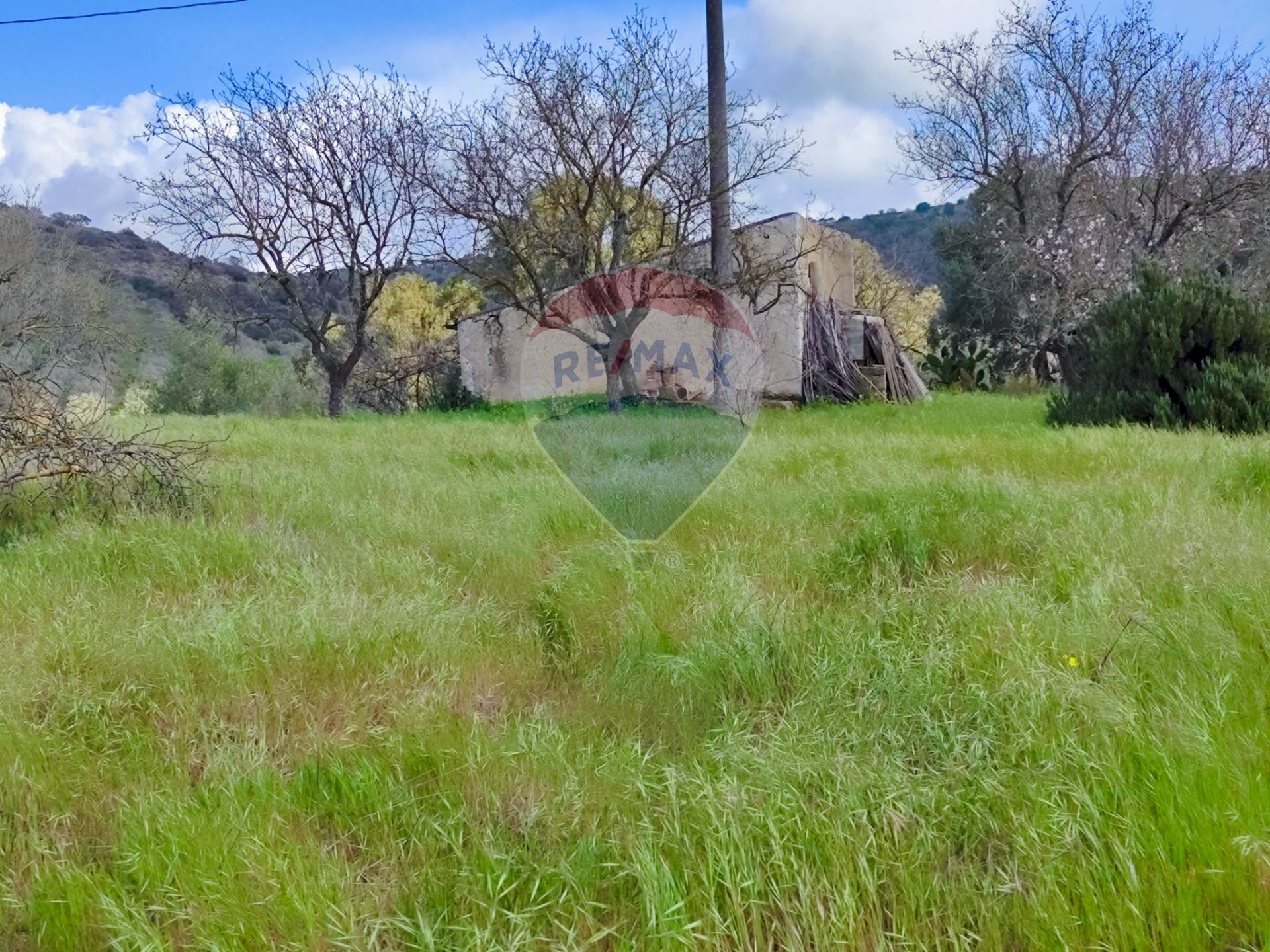 Giardino - Casa indipendente VIA GIAMBATTISTA FANALES
 
SN, Caltagirone - foto 1