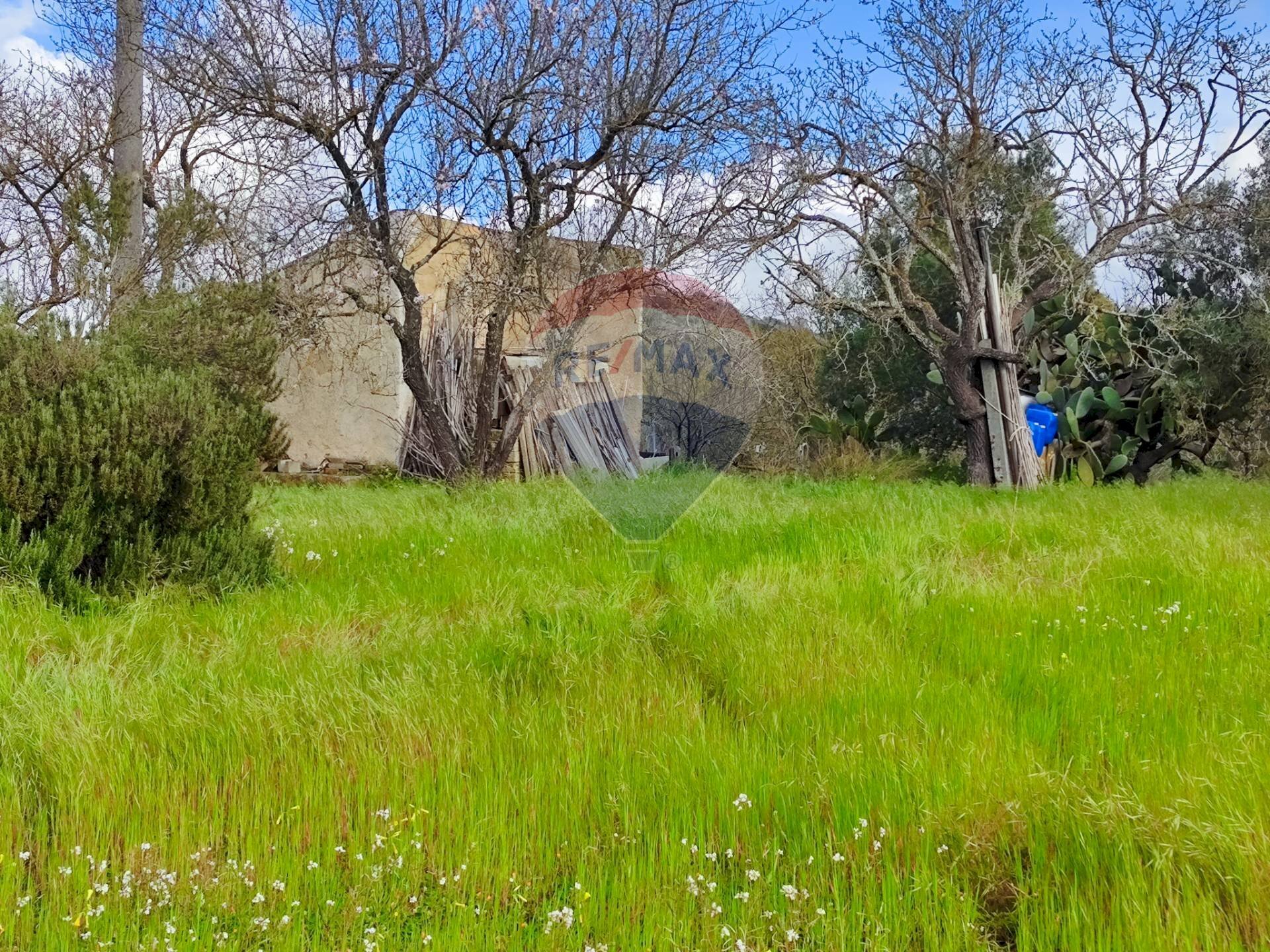Giardino - Casa indipendente VIA GIAMBATTISTA FANALES
 
SN, Caltagirone - foto 2