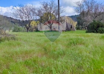 Giardino - Casa indipendente VIA GIAMBATTISTA FANALES
 
SN, Caltagirone - foto 1