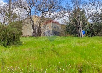 Giardino - Casa indipendente VIA GIAMBATTISTA FANALES
 
SN, Caltagirone - foto 2