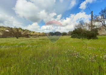 Giardino - Casa indipendente VIA GIAMBATTISTA FANALES
 
SN, Caltagirone - foto 4