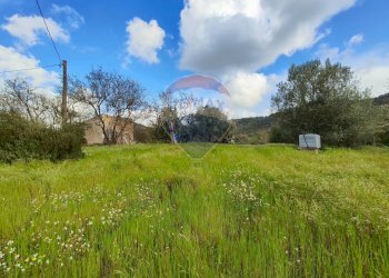 Giardino - Casa indipendente VIA GIAMBATTISTA FANALES
 
SN, Caltagirone - foto 5