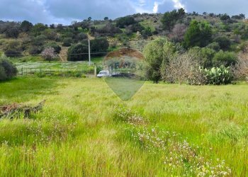 Giardino - Casa indipendente VIA GIAMBATTISTA FANALES
 
SN, Caltagirone - foto 6