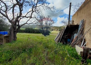 Giardino - Casa indipendente VIA GIAMBATTISTA FANALES
 
SN, Caltagirone - foto 9