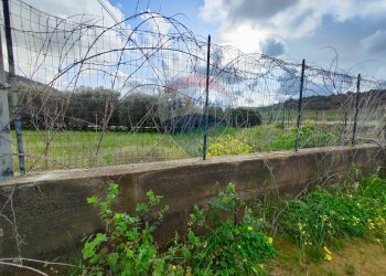Giardino - Casa indipendente VIA GIAMBATTISTA FANALES
 
SN, Caltagirone - foto 16