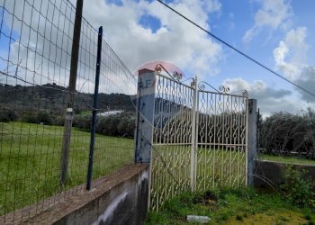Giardino - Casa indipendente VIA GIAMBATTISTA FANALES
 
SN, Caltagirone - foto 17