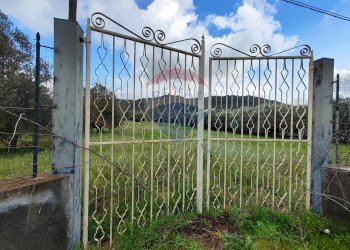 Giardino - Casa indipendente VIA GIAMBATTISTA FANALES
 
SN, Caltagirone - foto 18