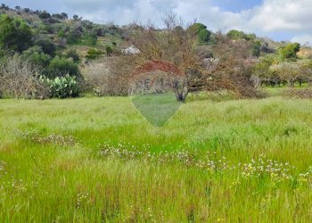 Giardino - Casa indipendente VIA GIAMBATTISTA FANALES
 
SN, Caltagirone - foto 22