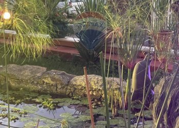 Giardino - Villa CONTRADA GAZZENA, Monterosso Almo - foto 37