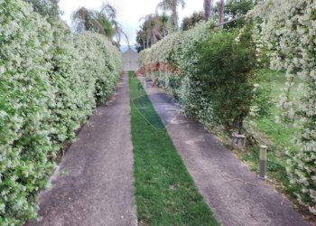Giardino - Villa CONTRADA GAZZENA, Monterosso Almo - foto 40