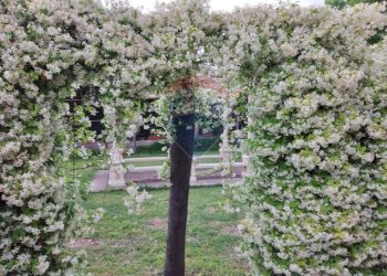 Giardino - Villa CONTRADA GAZZENA, Monterosso Almo - foto 42