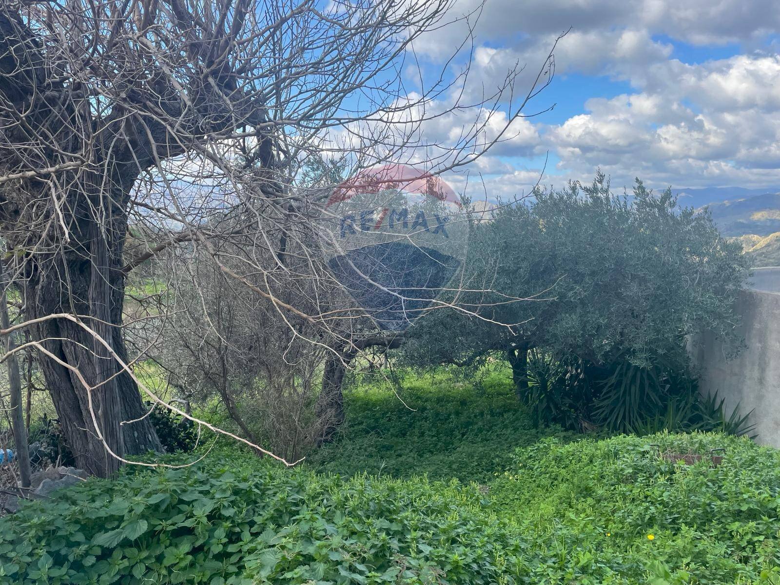 Giardino - Rustico contrada trupiano, Castelmola - foto 3