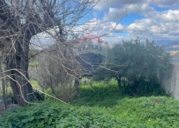 Giardino - Rustico contrada trupiano, Castelmola - foto 3