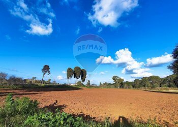 Non correlato - Terreno edificabile VIA ROSARIO PITRELLI
4/6, Caltagirone - foto 4