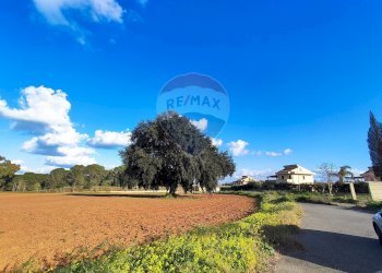 Giardino - Terreno edificabile VIA ROSARIO PITRELLI
4/6, Caltagirone - foto 5