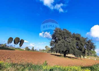 Non correlato - Terreno edificabile VIA ROSARIO PITRELLI
4/6, Caltagirone - foto 7