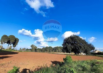 Non correlato - Terreno edificabile VIA ROSARIO PITRELLI
4/6, Caltagirone - foto 8
