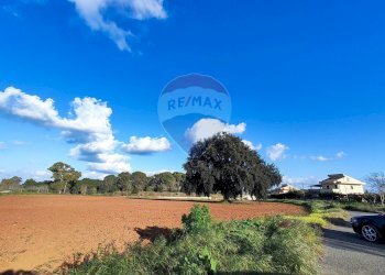 Non correlato - Terreno edificabile VIA ROSARIO PITRELLI
4/6, Caltagirone - foto 14
