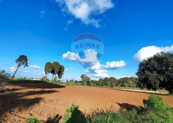 Giardino - Terreno edificabile VIA ROSARIO PITRELLI
4/6, Caltagirone - foto 15