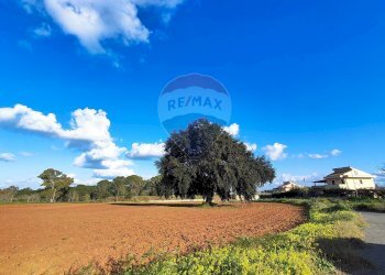 Giardino - Terreno edificabile VIA ROSARIO PITRELLI
4/6, Caltagirone - foto 17