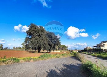 Non correlato - Terreno edificabile VIA ROSARIO PITRELLI
4/6, Caltagirone - foto 18