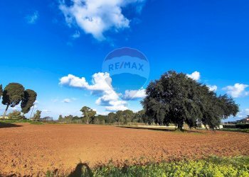 Non correlato - Terreno edificabile VIA ROSARIO PITRELLI
4/6, Caltagirone - foto 20