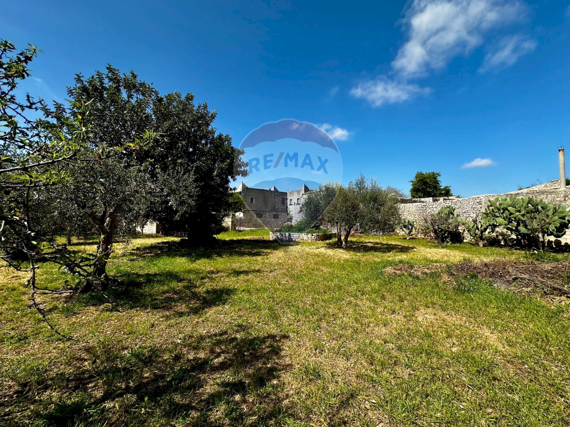 Giardino - Rustic C.da Torre Finocchiara
 
snc, Modica - photo 2