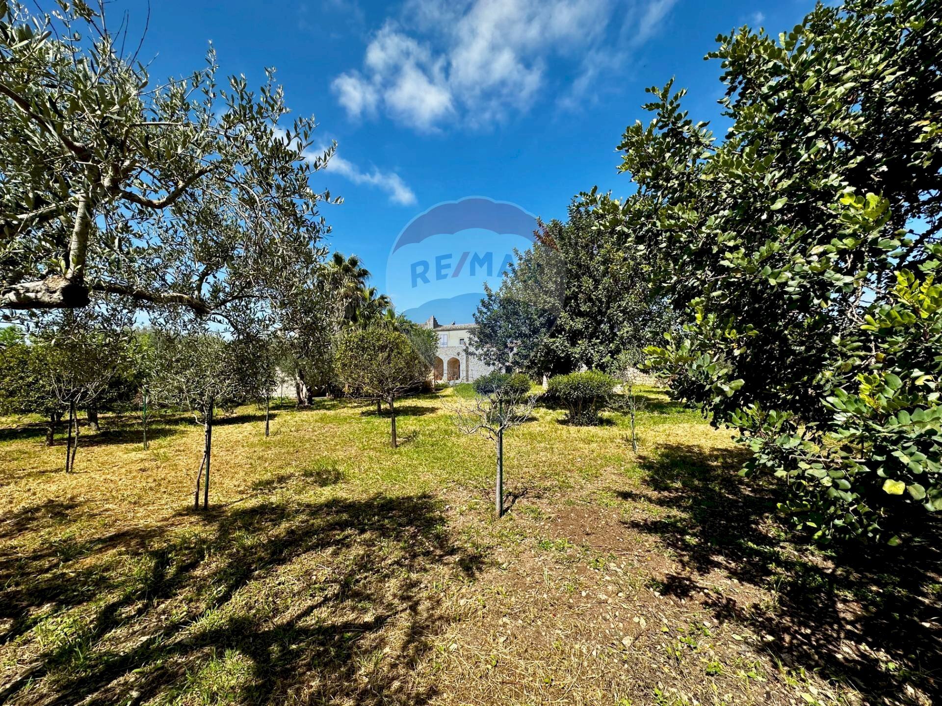 Giardino - Rustic C.da Torre Finocchiara
 
snc, Modica - photo 3