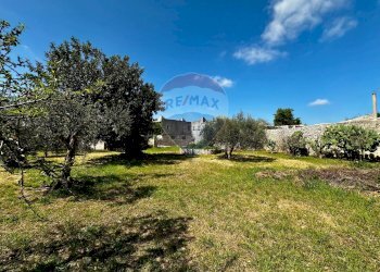 Giardino - Rustico C.da Torre Finocchiara
 
snc, Modica - foto 2