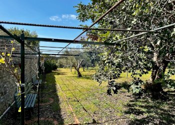 Giardino - Rustico C.da Torre Finocchiara
 
snc, Modica - foto 4