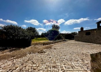 Giardino - Rustico C.da Torre Finocchiara
 
snc, Modica - foto 13