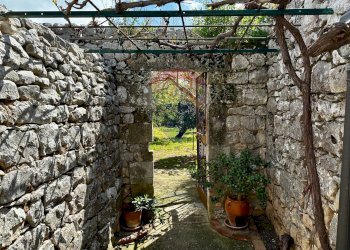 Giardino - Rustico C.da Torre Finocchiara
 
snc, Modica - foto 43