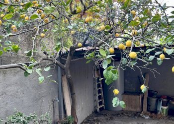 Giardino - Casa semi indipendente via sant'andrea
 
51, Trecastagni - foto 15