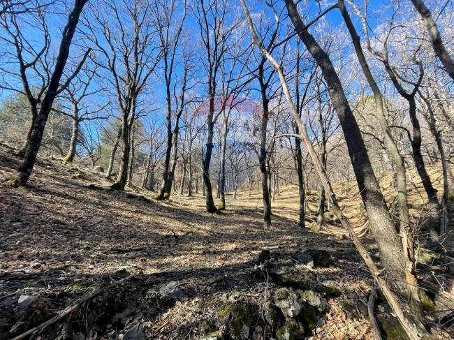 Vista delle montagne - Agricultural land strada mareneve, Linguaglossa - photo 1