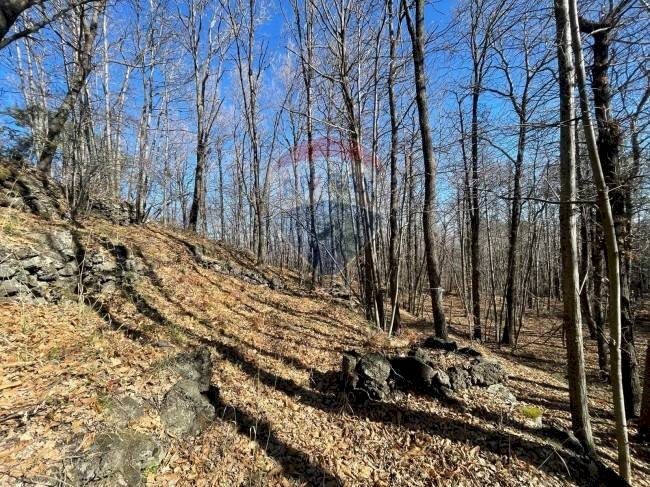 Vista delle montagne - Agricultural land strada mareneve, Linguaglossa - photo 2